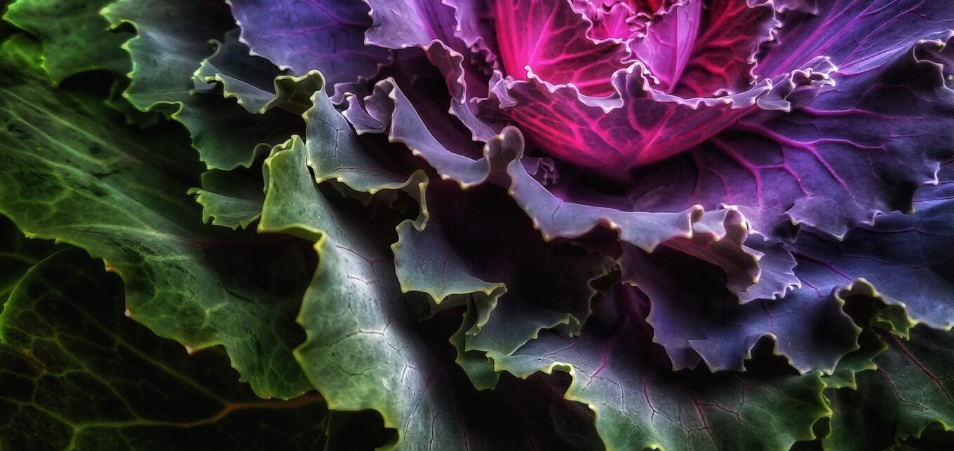 https://ogden_images.s3.amazonaws.com/www.motherearthnews.com/images/1983/03/23161940/AdobeStock_175205260-1360x644.jpeg